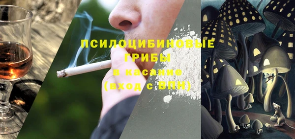 сатива Алексин