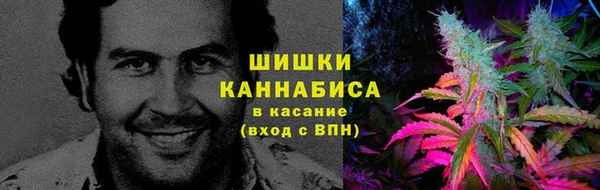 сатива Алексин
