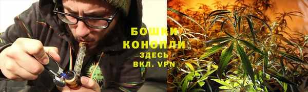 гидра Приозерск