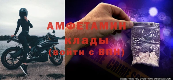 сатива Алексин