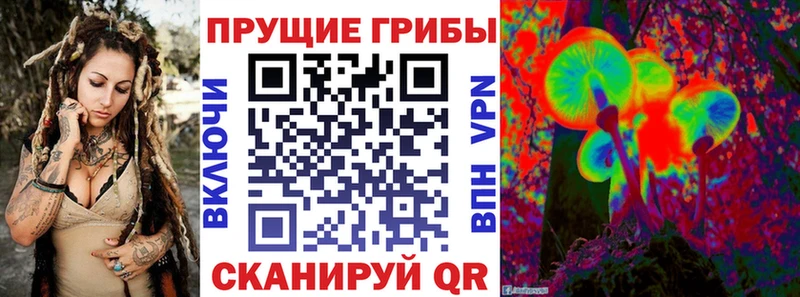 Галлюциногенные грибы Magic Shrooms  Снежногорск 